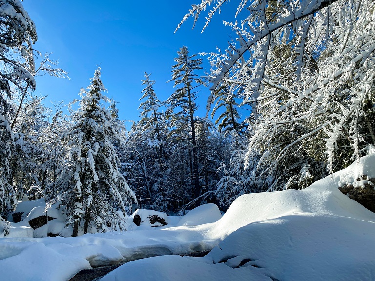 7 Things to do in North Conway, NH on Your First Visit